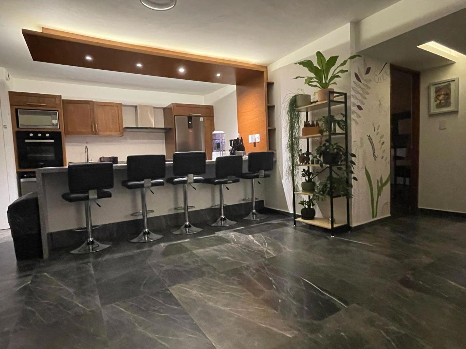 Great Apartment In The Heart Of Coyoacan Mexico City Exteriör bild