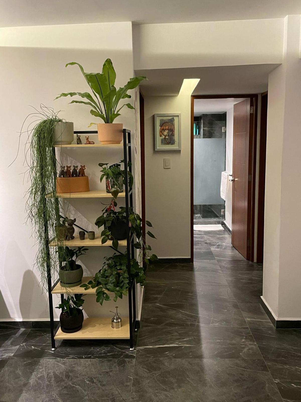 Great Apartment In The Heart Of Coyoacan Mexico City Exteriör bild