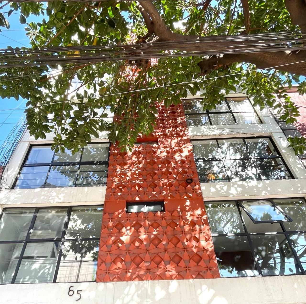 Great Apartment In The Heart Of Coyoacan Mexico City Exteriör bild